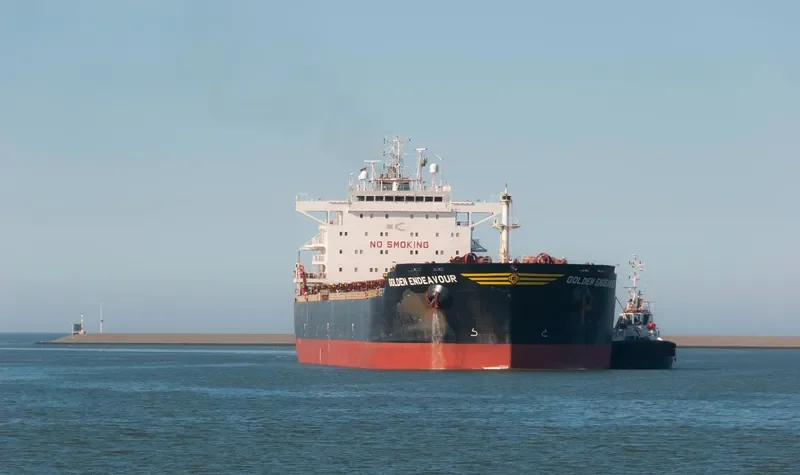GOLDEN ENDEAVOUR Bulk Carrier IMO 9481453 photo 10