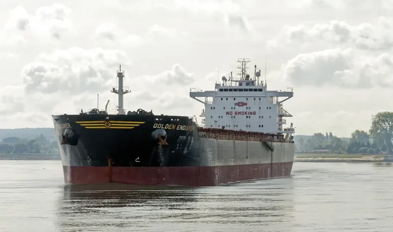 GOLDEN ENDURER Bulk Carrier IMO 9481465 photo 2