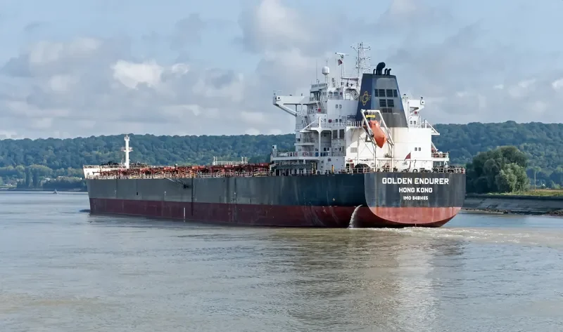 GOLDEN ENDURER Bulk Carrier IMO 9481465 photo 3