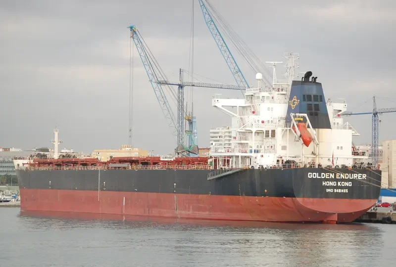 GOLDEN ENDURER Bulk Carrier IMO 9481465 photo 4