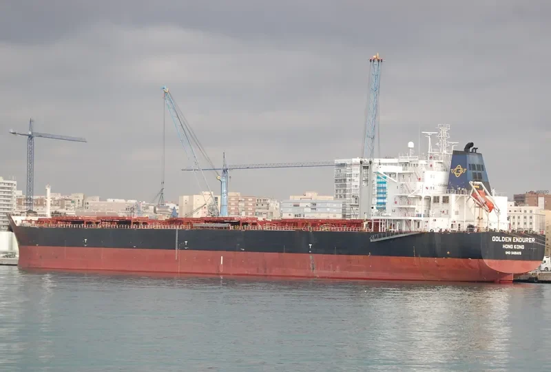 GOLDEN ENDURER Bulk Carrier IMO 9481465 photo 5
