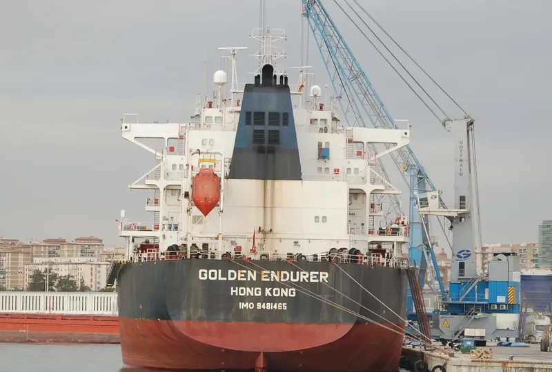 GOLDEN ENDURER Bulk Carrier IMO 9481465 photo 6