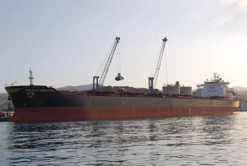 GOLDEN ENDURER Bulk Carrier IMO 9481465 photo 8