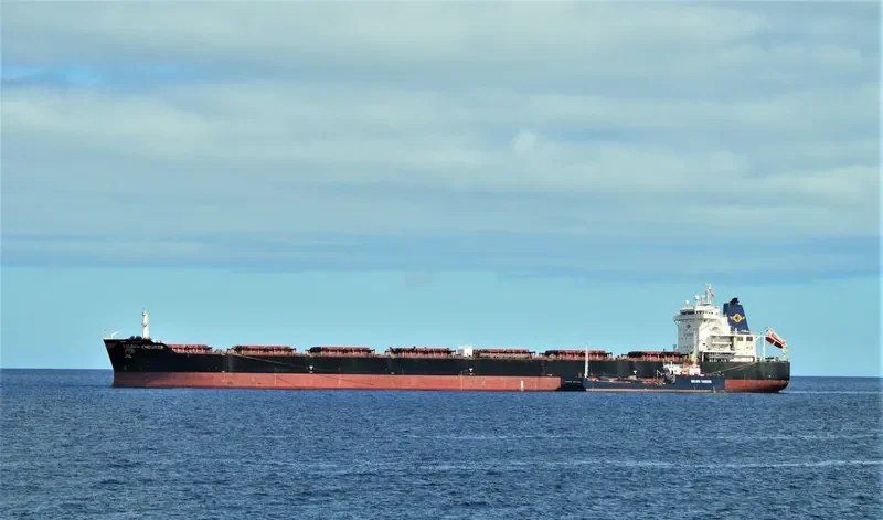 GOLDEN ENDURER Bulk Carrier IMO 9481465 photo 9