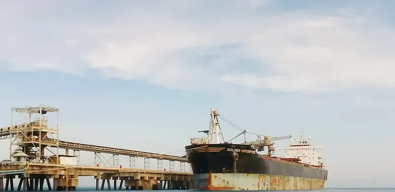 GOLDEN ENTERPRISE Bulk Carrier IMO 9481477