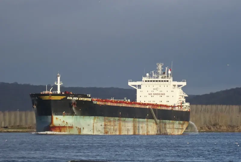 GOLDEN ENTERPRISE Bulk Carrier IMO 9481477 photo 2
