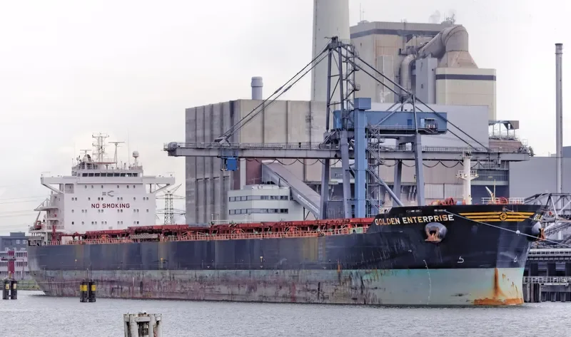 GOLDEN ENTERPRISE Bulk Carrier IMO 9481477 photo 6