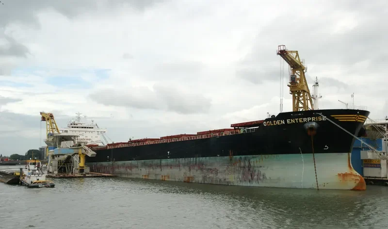 GOLDEN ENTERPRISE Bulk Carrier IMO 9481477 photo 7