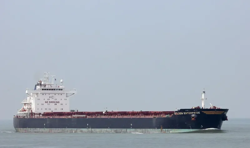 GOLDEN ENTERPRISE Bulk Carrier IMO 9481477 photo 9