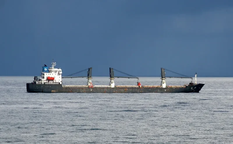 COPPER LADY Bulk Carrier IMO 9481623