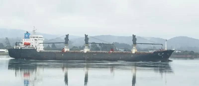 COPPER LADY Bulk Carrier IMO 9481623 photo 2