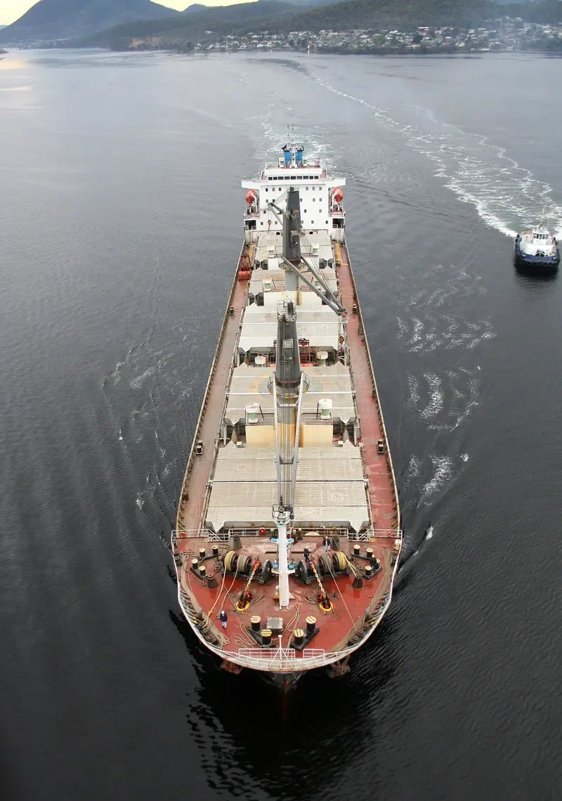 COPPER LADY Bulk Carrier IMO 9481623 photo 4