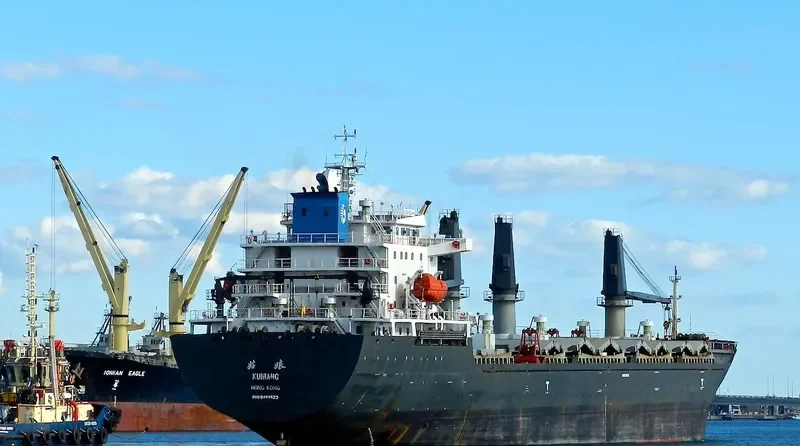 COPPER LADY Bulk Carrier IMO 9481623 photo 6