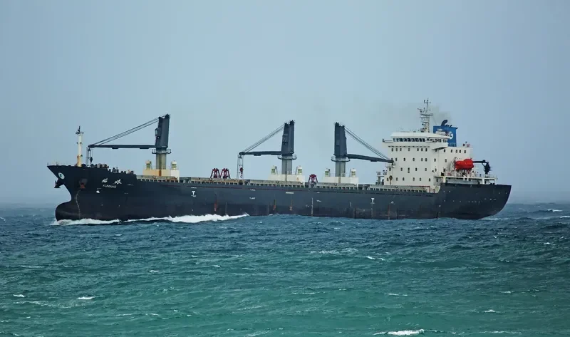 COPPER LADY Bulk Carrier IMO 9481623 photo 7