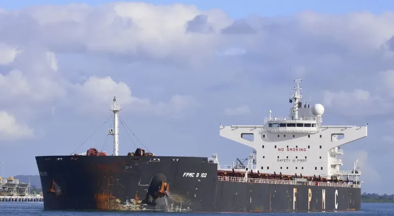 FPMC B 102 Bulk Carrier IMO 9481635 photo 8
