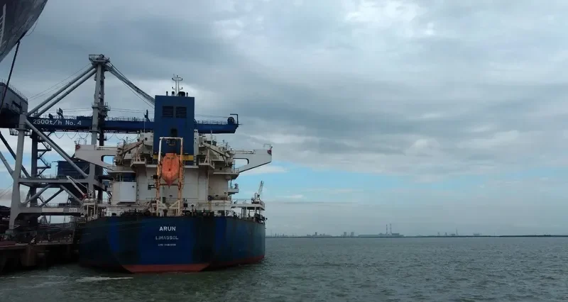GCL TAPI Bulk Carrier IMO 9481659 photo 10