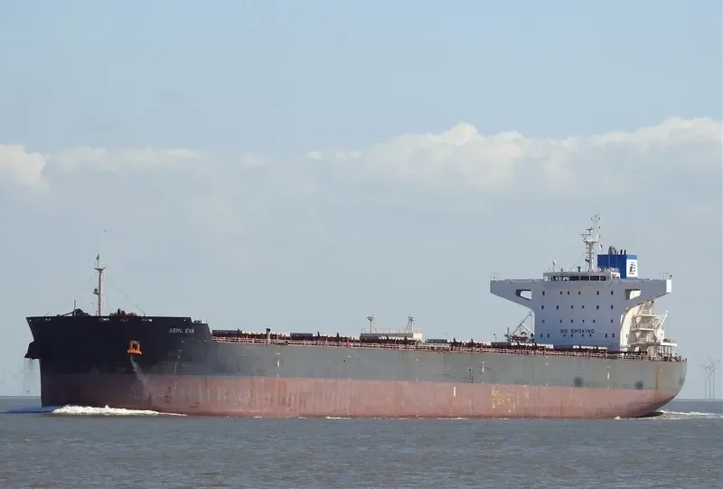 STAR EVA Bulk Carrier IMO 9481702