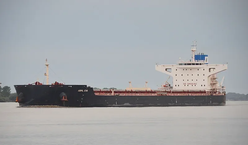 STAR EVA Bulk Carrier IMO 9481702 photo 2