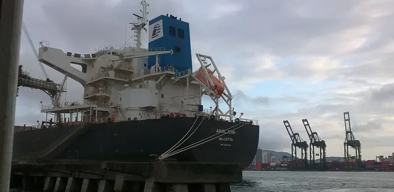 STAR EVA Bulk Carrier IMO 9481702 photo 3