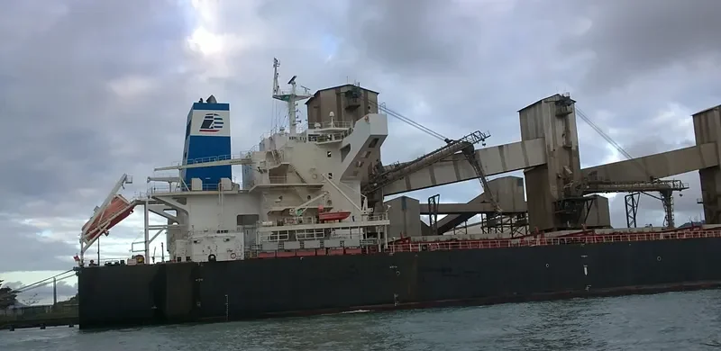 STAR EVA Bulk Carrier IMO 9481702 photo 4