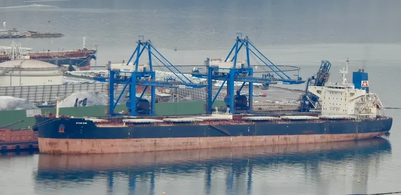 STAR EVA Bulk Carrier IMO 9481702 photo 10