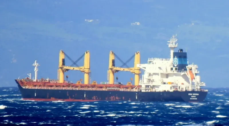 MISS SIMONA Bulk Carrier IMO 9481946 photo 4