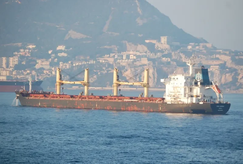 MISS SIMONA Bulk Carrier IMO 9481946 photo 5