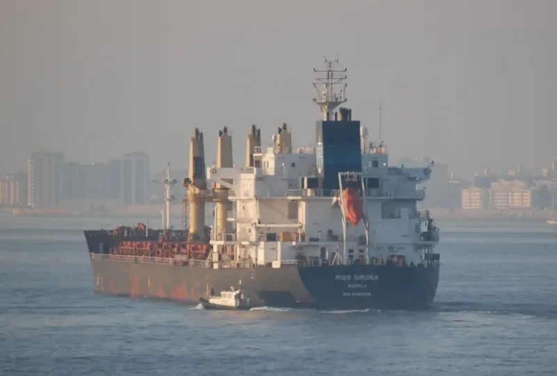 MISS SIMONA Bulk Carrier IMO 9481946 photo 6