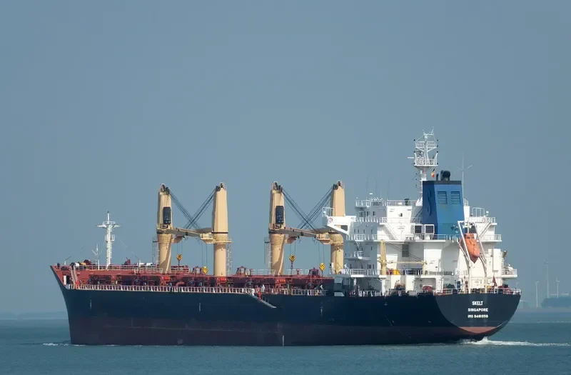 DORY Bulk Carrier IMO 9481958 photo 2