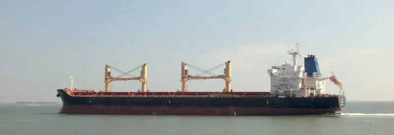 DORY Bulk Carrier IMO 9481958 photo 3