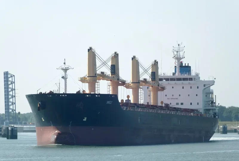 DORY Bulk Carrier IMO 9481958 photo 4