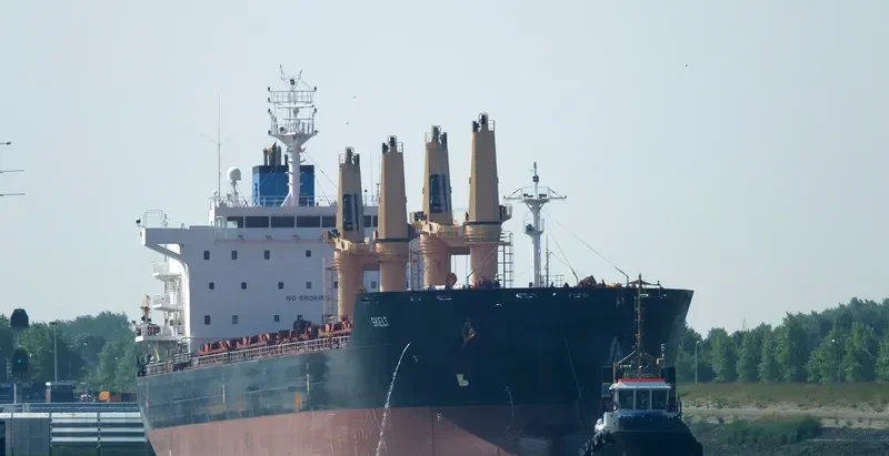 DORY Bulk Carrier IMO 9481958 photo 5