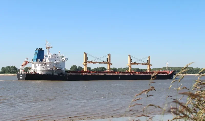 DORY Bulk Carrier IMO 9481958 photo 6