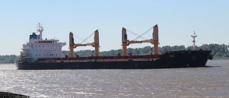 DORY Bulk Carrier IMO 9481958 photo 7
