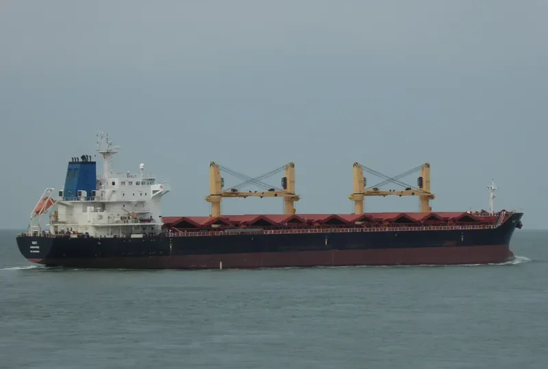 DORY Bulk Carrier IMO 9481958 photo 8