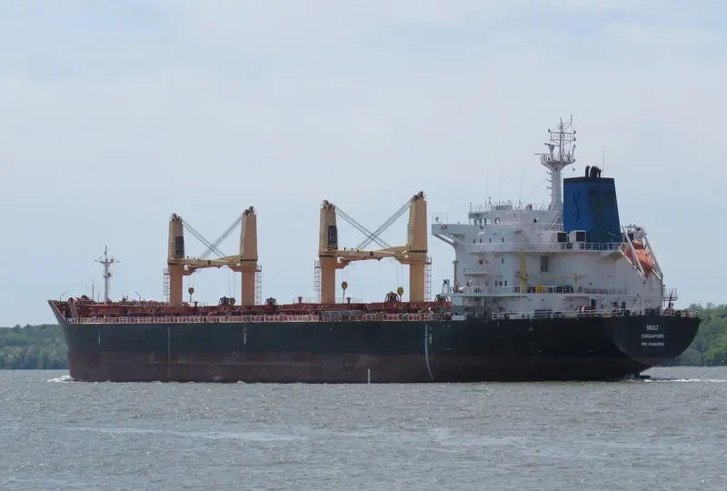 DORY Bulk Carrier IMO 9481958 photo 9