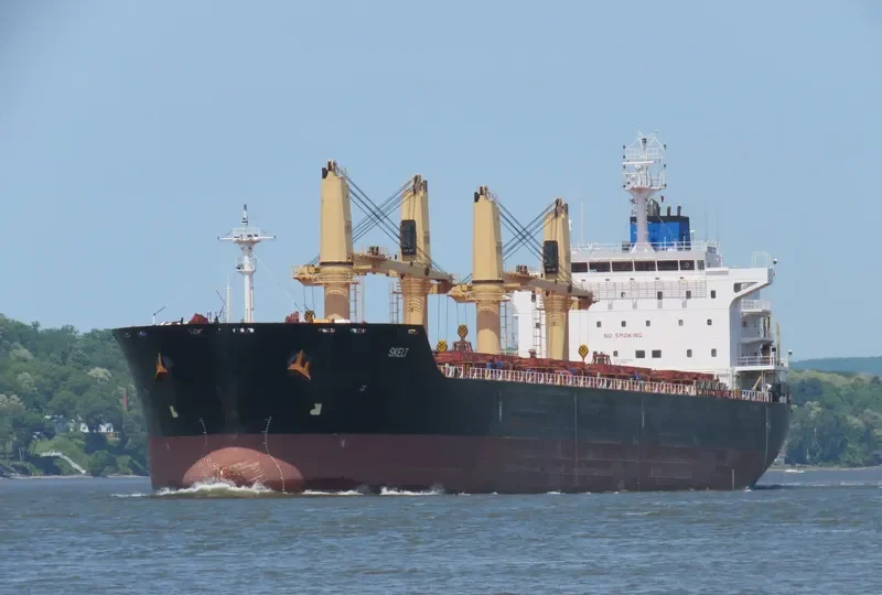 DORY Bulk Carrier IMO 9481958 photo 10