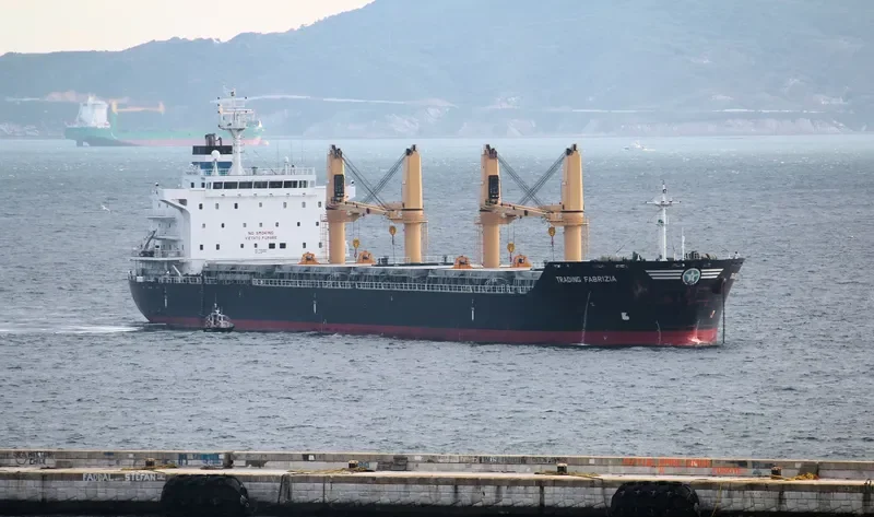 BRIGHT STAR Bulk Carrier IMO 9481960 photo 7