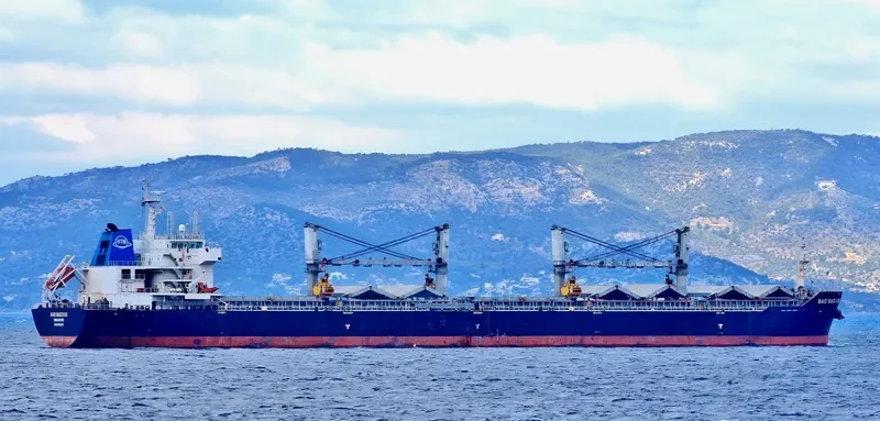 BAO SUCCESS Bulk Carrier IMO 9482029 photo 4