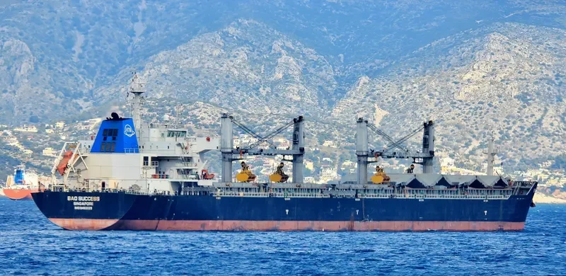 BAO SUCCESS Bulk Carrier IMO 9482029 photo 5