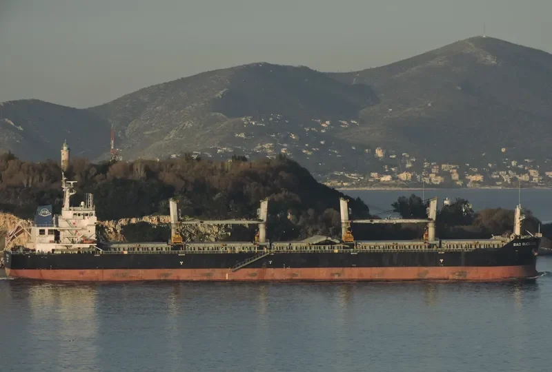 BAO SUCCESS Bulk Carrier IMO 9482029 photo 7