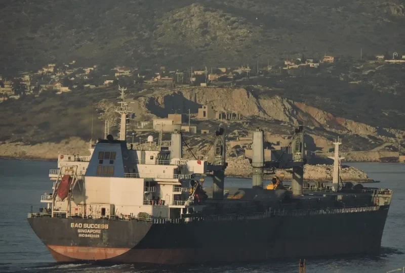 BAO SUCCESS Bulk Carrier IMO 9482029 photo 9