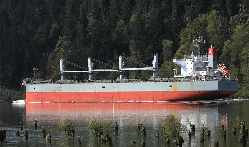 IPSEA COLOSSUS Bulk Carrier IMO 9482108