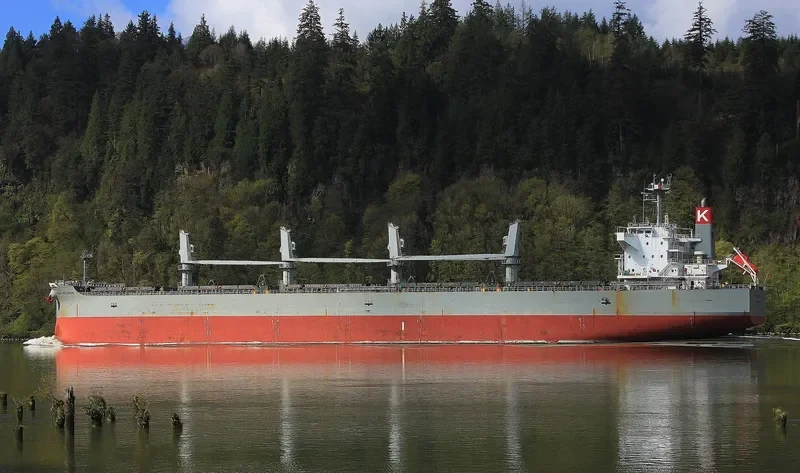 IPSEA COLOSSUS Bulk Carrier IMO 9482108 photo 2