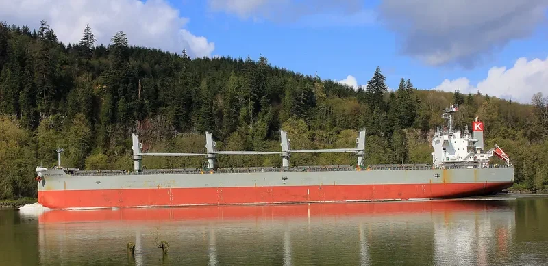 IPSEA COLOSSUS Bulk Carrier IMO 9482108 photo 3