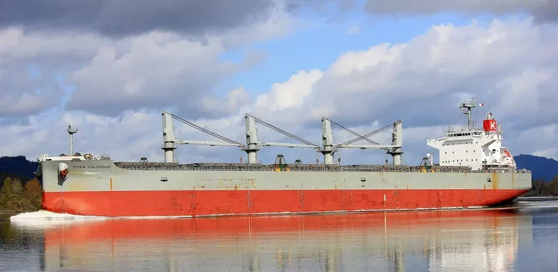 IPSEA COLOSSUS Bulk Carrier IMO 9482108 photo 4