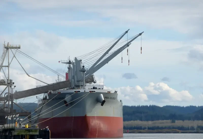 IPSEA COLOSSUS Bulk Carrier IMO 9482108 photo 5