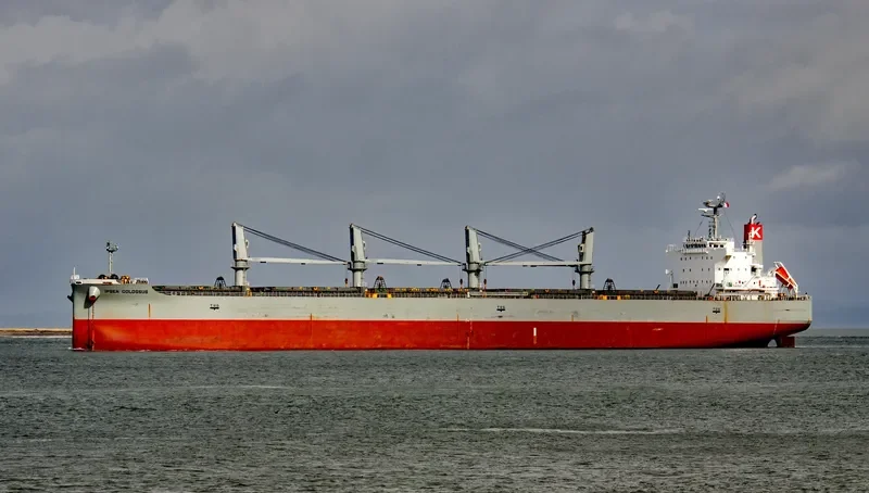 IPSEA COLOSSUS Bulk Carrier IMO 9482108 photo 6