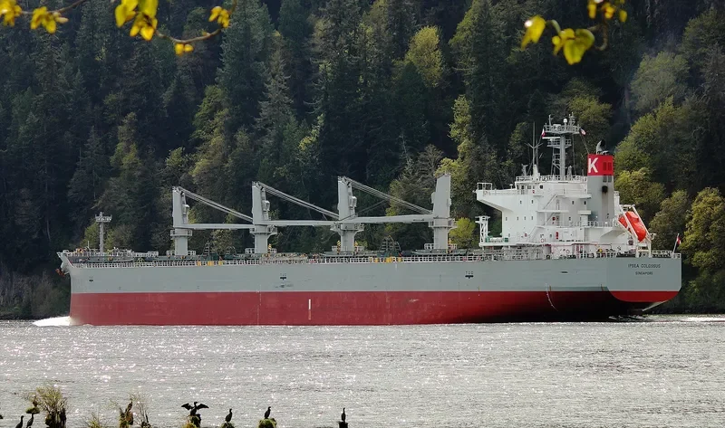 IPSEA COLOSSUS Bulk Carrier IMO 9482108 photo 7