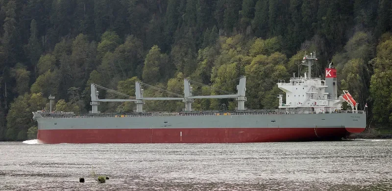 IPSEA COLOSSUS Bulk Carrier IMO 9482108 photo 8